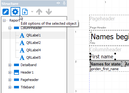 Selecting the Options button